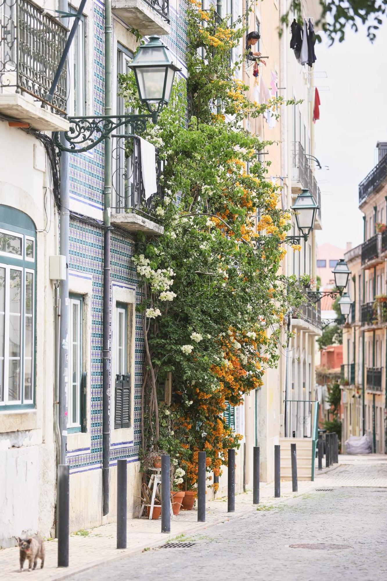 شقة Bica Little House Lisboa الغرفة الصورة